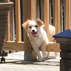 Meet your Posher, Donna